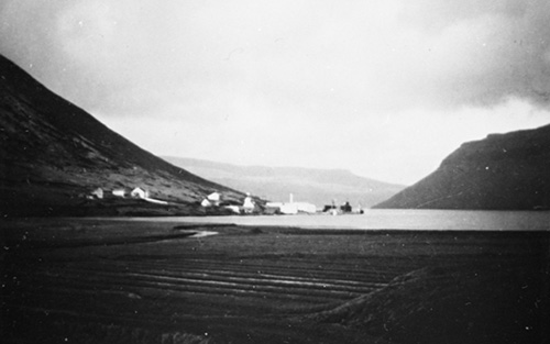 6139F0081